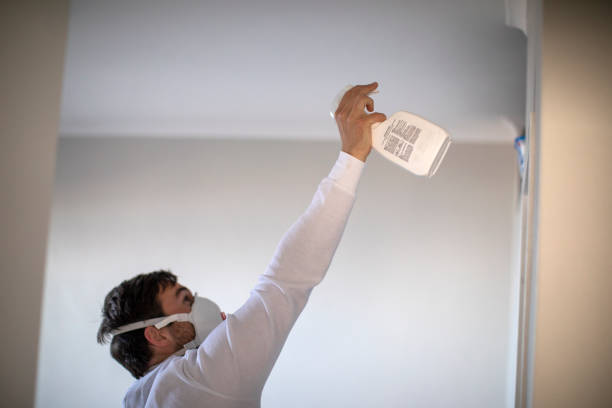 Best Affordable Mold Removal  in Bloomville, OH