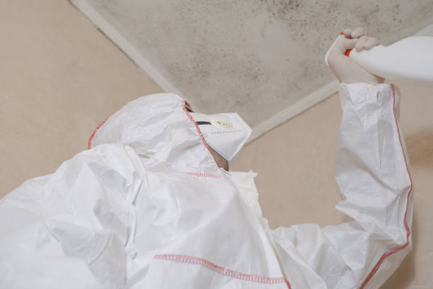 Best Emergency Mold Removal  in Bloomville, OH