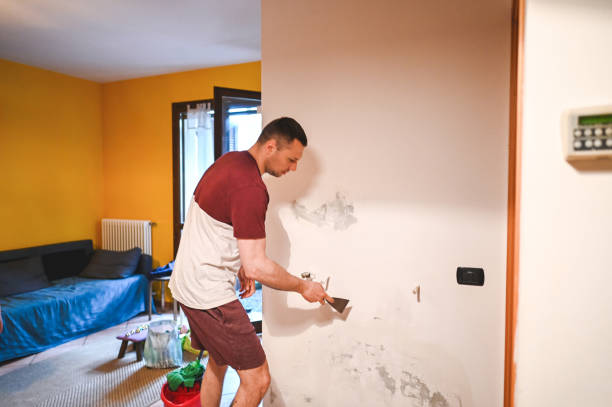 Best Mold Removal Specialists  in Bloomville, OH